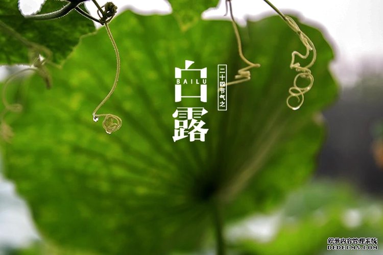 长城拍客第四十六期：白露凋花花不残，凉风吹叶叶初乾